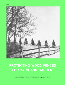 Protecting Wood Fences for Yard and Garden