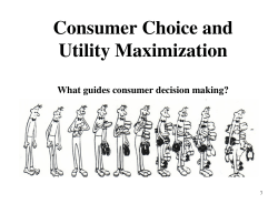 Consumer Choice and Utility Maximization