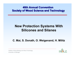New Protection Systems With Silicones and Silanes
