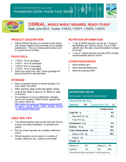 CEREAL, WHOLE WHEAT SQUARES, READY-TO-EAT