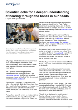 Scientist looks for a deeper understanding of hearing