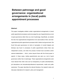 Between patronage and good governance: organizational