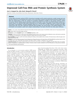 Improved Cell-Free RNA and Protein Synthesis