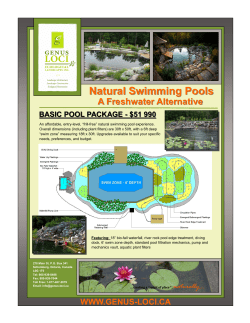 Natural Swimming Pools A Freshwater Alternative