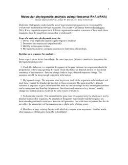 Molecular phylogenetic analysis using ribosomal RNA