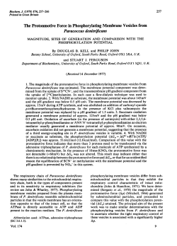 The Protonmotive Force in Phosphorylating Membrane Vesicles