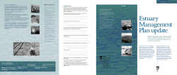 Estuary Management Plan Update Flyer