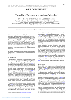 The riddle of Spinosaurus aegyptiacus` dorsal sail