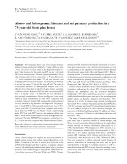Above- and belowground biomass and net primary production in a