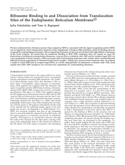 Ribosome Binding to and Dissociation from Translocation Sites of