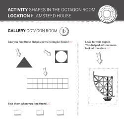 ACTIVITY SHAPES IN THE OCTAGON ROOM LOCATION