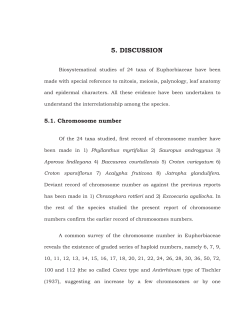 5. discussion