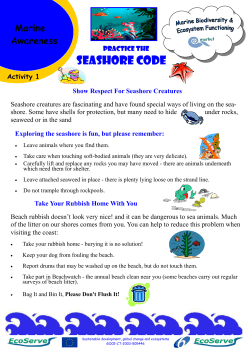 Seashore Code