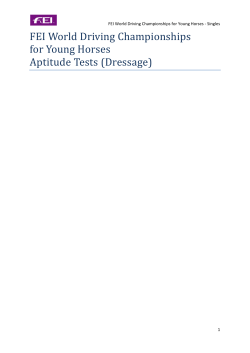 test sheet - British Carriagedriving