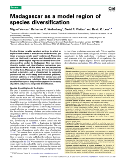 Madagascar as a model region of species diversification