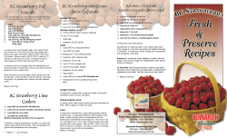 Brochure Layout