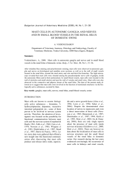 mast cells in autonomic ganglia and nerves and in small blood