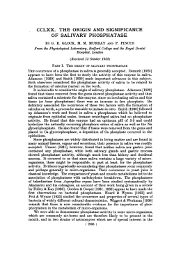OF SALIVARY PHOSPHATASE