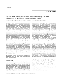 Plant-animal subsistence ratios and macronutrient energy - Direct-MS