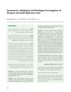 Anatomical, radiological and histological investigation of the great