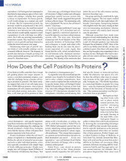 How Does the Cell Position Its Proteins