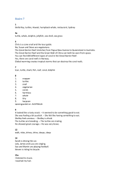 Fasit Stairs 7 - Cappelen Damm Undervisning