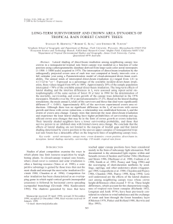 long-term survivorship and crown area dynamics of tropical rain