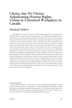 Choice, but No Choice: Adjudicating Human Rights Claims in