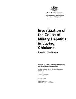 Investigation of the Cause of Miliary Hepatitis in Laying Chickens