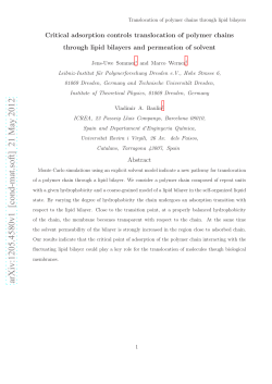 Critical adsorption controls translocation of polymer chains through