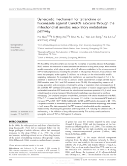 Synergistic mechanism for tetrandrine on fluconazole against