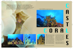 Coral Castles, by Glen Cowans