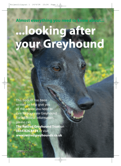 Greyhound Manual Almost everything you need to know about