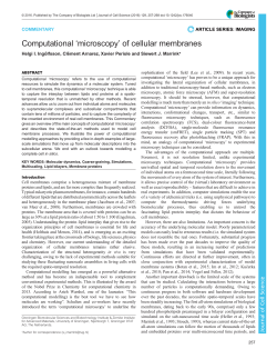 Computational `microscopy` of cellular membranes