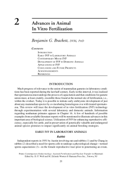 Advances in Animal In Vitro Fertilization