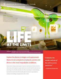 - American Museum of Natural History