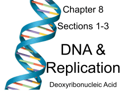 Chapter 8 Sections 1-3