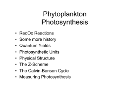 Lecture 6 Photosynthesis and Primary Production