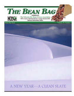 A NEW YEAR&mdash;A CLEAN SLATE - Nebraska Dry Bean Growers