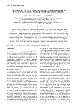 RUNNING TITLE: DEBRANCHING EFFECT ON YIELD IN TOMATO