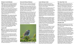 Ten Great Places to Go Birding in Whitehorse