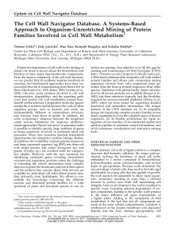 The Cell Wall Navigator Database. A Systems