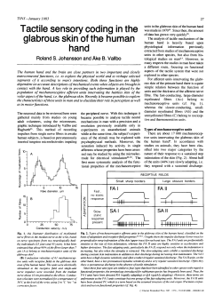 Tactile sensory coding in the glabrous skin of the human hand