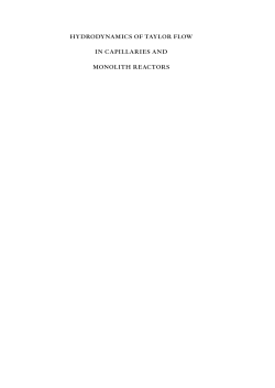 hydrodynamics of taylor flow in capillaries and monolith reactors