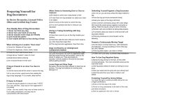 Preparing Yourself for Dog Encounters