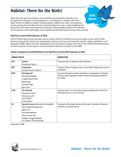 Habitat: There for the Birds!