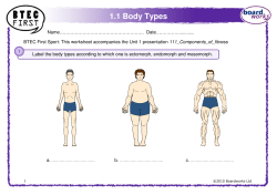 1.1 Body Types