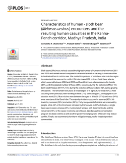 Characteristics of human - sloth bear (Melursus ursinus