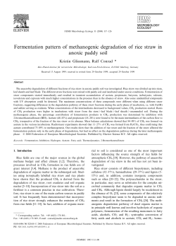 Fermentation pattern of methanogenic degradation of rice straw in