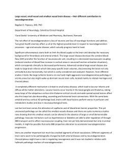 Large vessel, small vessel and smallest vessel brain